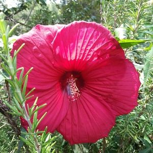 Meet your Posher, Ms heidi